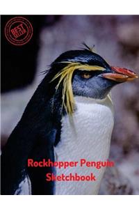 Rockhopper Penguin Sketchbook: Blank Paper for Drawing, Doodling or Sketching 120 Large Blank Pages (8.5x11) for Sketching, inspiring, Drawing Anything Kids Love to do and to Impr