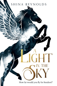 Light in the Sky