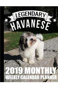 Legendary Havanese 2019 Monthly Weekly Calendar Planner