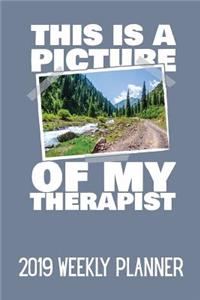 This Is a Picture of My Therapist