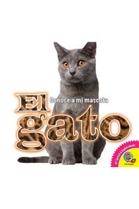 El Gato