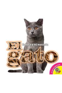 Gato