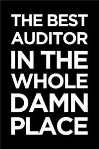 The Best Auditor in the Whole Damn Place