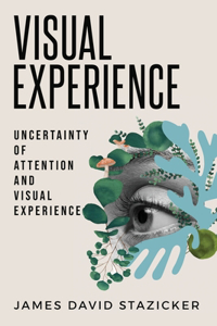 Uncertainty Of Attention And Visual Experience