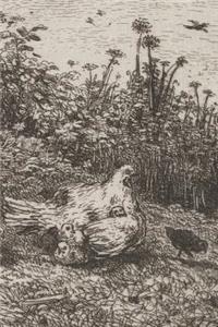 Chickens 4x6