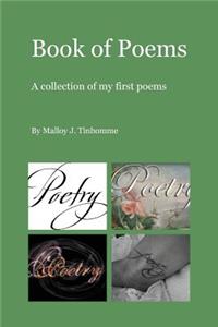 Book of Poems: A Collection of My First Poems