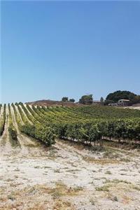 Notebook Vinyard of Grapes Looking Across the Fields