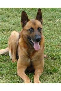 Daily Organizer and Planner