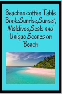Beaches Coffee Table Book