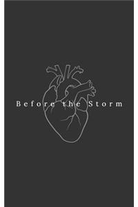 Before the Storm