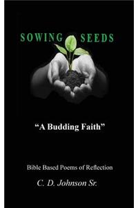 Sowing Seeds