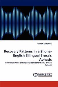Recovery Patterns in a Shona- English Bilingual Broca's Aphasic