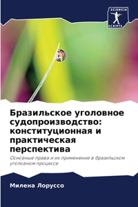 Бразильское уголовное судопроизводство