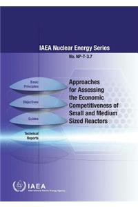 Approaches for assessing the economic competitiveness of small and medium sized reactors