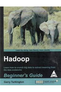 Hadoop Beginner'S Guide