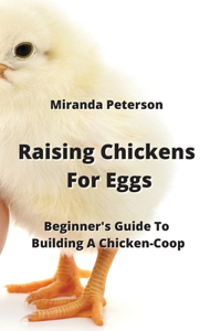 Raising Chickens For Eggs