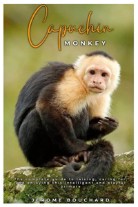 Capuchin Monkey