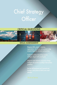 Chief Strategy Officer Critical Questions Skills Assessment