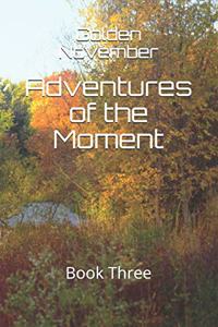 Adventures of the Moment: Book Three