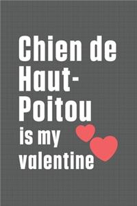 Chien de Haut-Poitou is my valentine