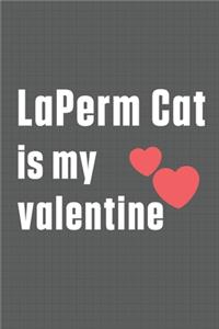 LaPerm Cat is my valentine