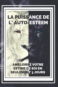 LA PUISSANCE DE L' AUTO-ESTEEM Améliorez votre estime de soi en seulement 3 jours!!!