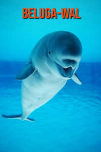 Beluga-Wal