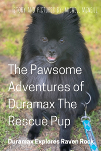 Pawsome Adventures of Duramax the Rescue Pup