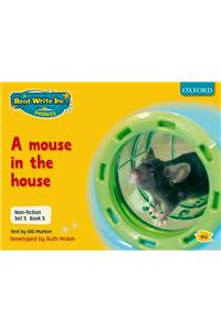 Read Write Inc. Phonics: Non-fiction Set 5 (yellow): a Mouse in the House - Book 5