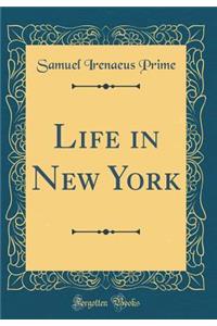 Life in New York (Classic Reprint)