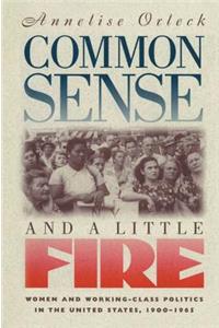 Common Sense and a Little Fire