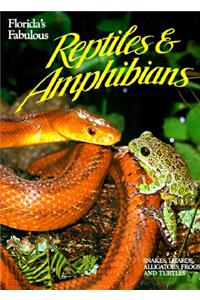 Florida's Fabulous Reptiles and Amphibians