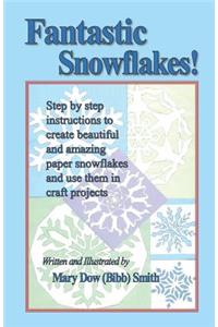 Fantastic Snowflakes!