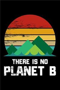 There Is No Planet B