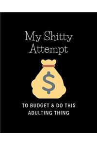 My Attempts To Budget & Do This Adulting