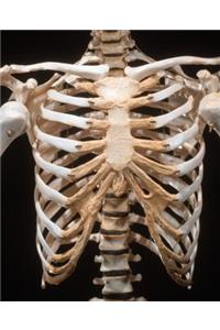 Science Theme School Composition Book Anatomy Bones Ribcage