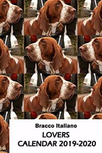 Bracco Italiano Lovers Calendar 2019-2020