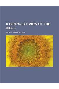 A Bird's-Eye View of the Bible