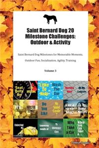 Saint Bernard Dog 20 Milestone Challenges