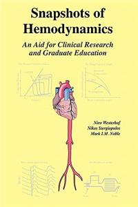 Snapshots of Hemodynamics