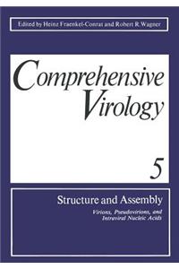 Structure and Assembly: Virions, Pseudovirions, and Intraviral Nucleic Acids