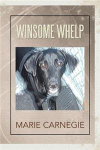 Winsome Whelp