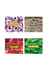 All about Plants