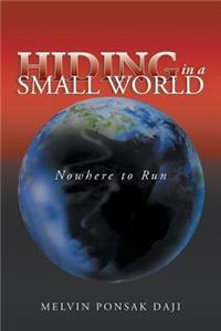 Hiding in a Small World - Nowhere to Run