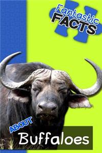 Fantastic Facts about Buffaloes