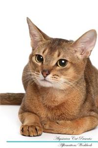 Abyssinian Cat Affirmations Workbook Abyssinian Cat Presents