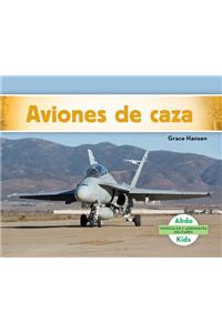 Aviones de Caza (Military Fighter Aircraft) (Spanish Version)