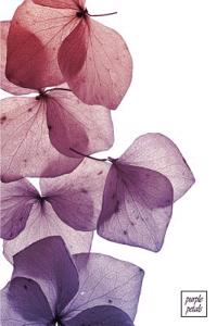 Purple Petals