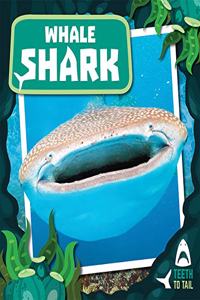 Whale Shark