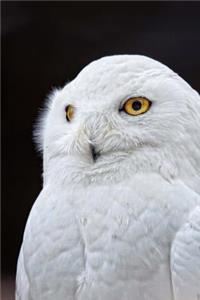 Snowy Owl Bird Journal